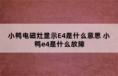 小鸭电磁灶显示E4是什么意思 小鸭e4是什么故障